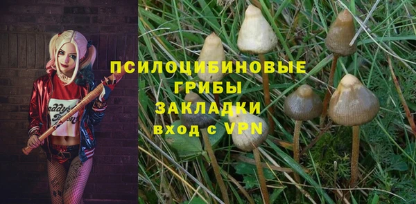 герыч Вяземский